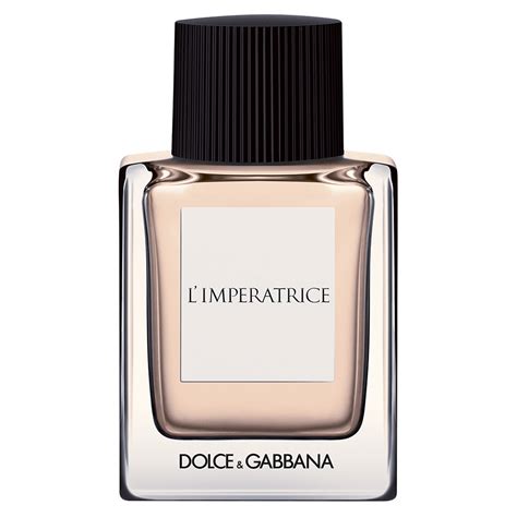 dolce gabbana l3